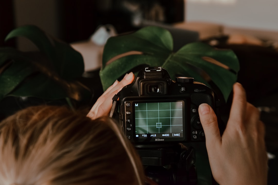Leading lines in photography